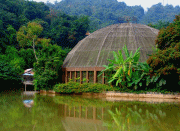 特種泵閥螺桿泵內部結構和選用方法